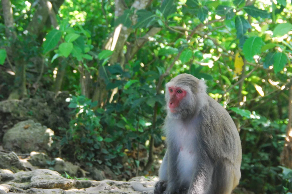 Shoushan National Nature Park