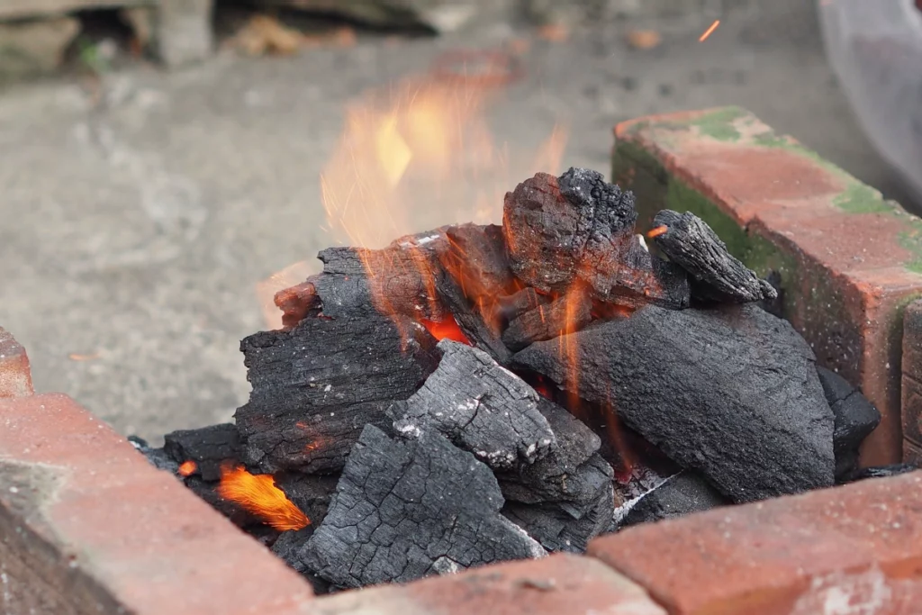 Mid-Autumn Festival BBQ Essential Barbecue Tools-Charcoal